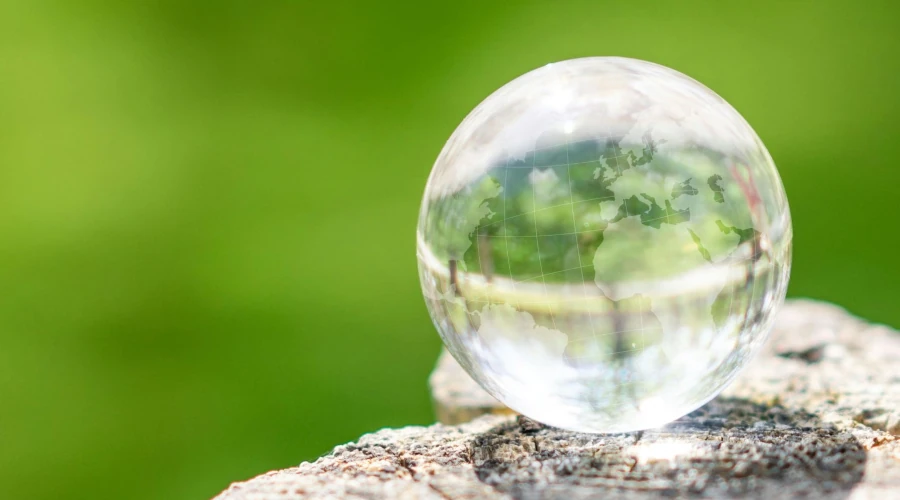 Optimism and Outrage: Reflections on six predictions for ESG in 2024